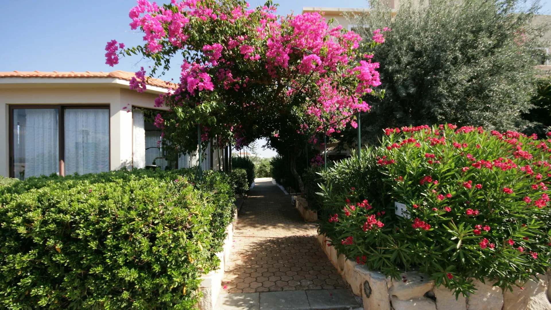 Artemis Village Apartments & Studios Σταυρός